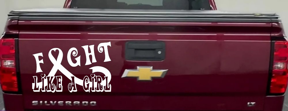 Fight Like a Girl Breast Cancer Car or Truck Window Decal Sticker (White)