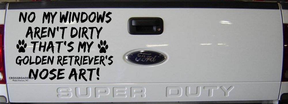 My Windows Arent Dirty Golden Retriever Dog Car or Truck Window Decal Sticker