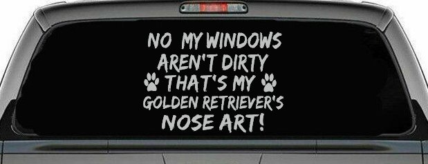 My Windows Aren't Dirty Golden Retriever Dog Car or Truck Window Decal Sticker (Light Gray)