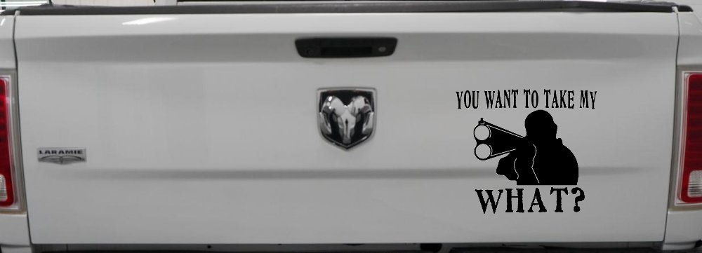 You Want To Take My What 2nd Amendment Rights Country Car or Truck Window Decal Sticker