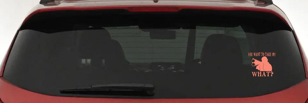 You Want To Take My What 2nd Amendment Rights Country Car or Truck Window Decal Sticker