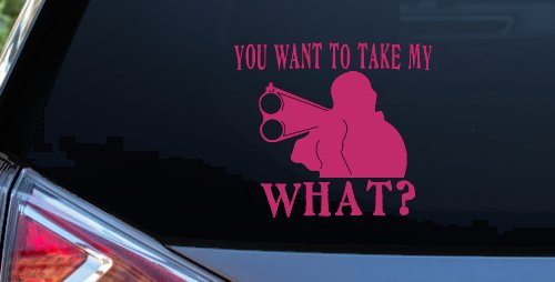 You Want To Take My What 2nd Amendment Rights Country Car or Truck Window Decal Sticker (Hot Pink)