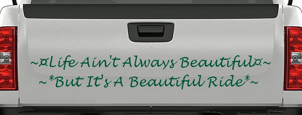 Life Ain't Always Beautiful But It's A Beautiful Ride Car or Truck Window Decal Sticker
