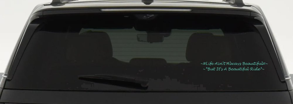 Life Ain't Always Beautiful But It's A Beautiful Ride Car or Truck Window Decal Sticker (Mint)