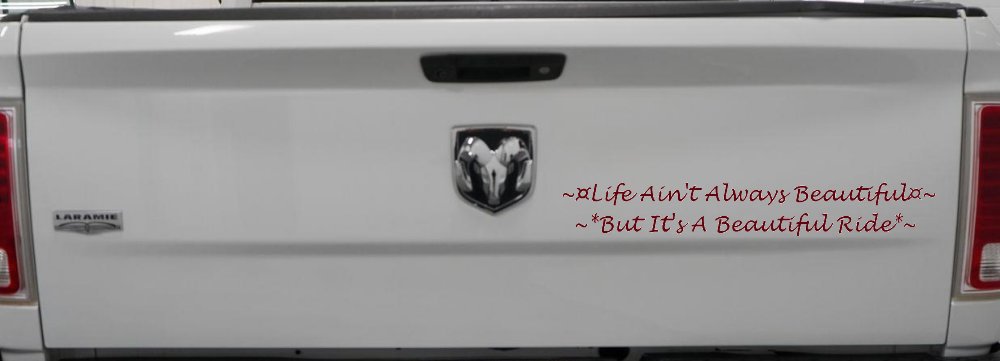 Life Ain't Always Beautiful But It's A Beautiful Ride Car or Truck Window Decal Sticker