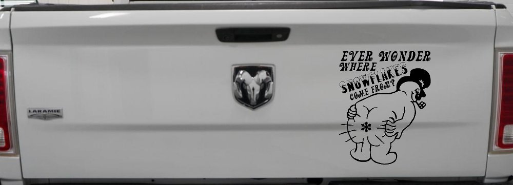 Where Snowflakes Come From Funny Car or Truck Window Decal Sticker (Black)