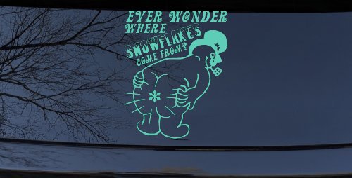 Where Snowflakes Come From Funny Car or Truck Window Decal Sticker