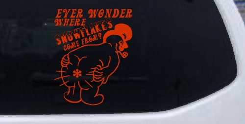 Where Snowflakes Come From Funny Car or Truck Window Decal Sticker