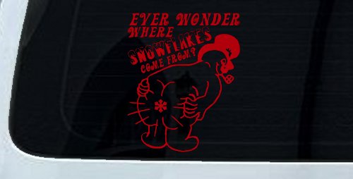 Where Snowflakes Come From Funny Car or Truck Window Decal Sticker