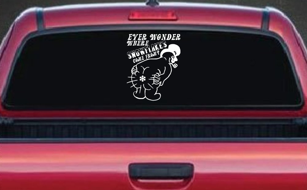 Where Snowflakes Come From Funny Car or Truck Window Decal Sticker
