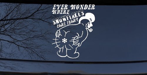 Where Snowflakes Come From Funny Car or Truck Window Decal Sticker