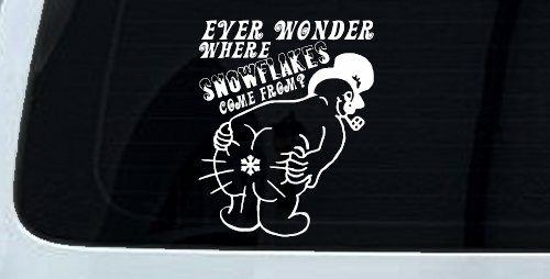 Where Snowflakes Come From Funny Car or Truck Window Vinyl Decal Sticker (White)