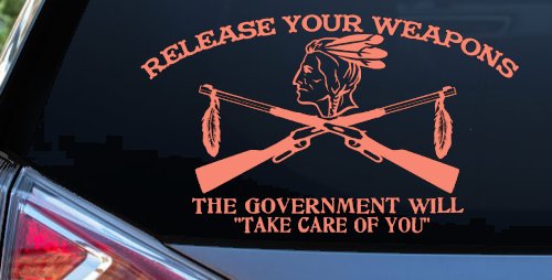 Native American Indian Release Your Weapons Guns 2nd Amendment Car or Truck Window Decal Sticker (Coral)