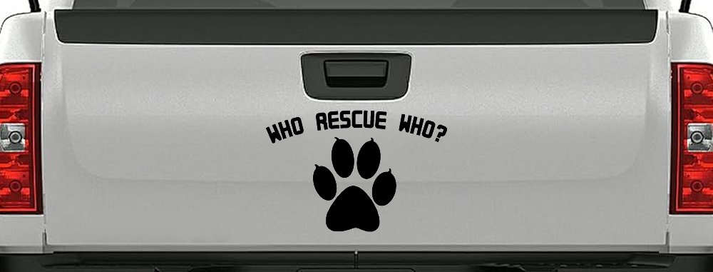 Who Rescue Who Dog or Cat Adoption Car or Truck Window Decal Sticker