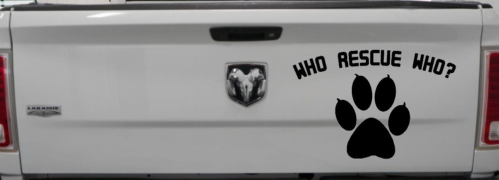 Who Rescue Who Dog or Cat Adoption Car or Truck Window Decal Sticker (Black)