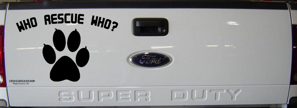 Who Rescue Who Dog or Cat Adoption Car or Truck Window Decal Sticker (Black)