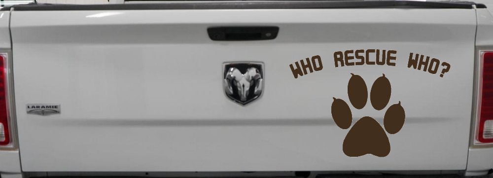 Who Rescue Who Dog or Cat Adoption Car or Truck Window Decal Sticker (Brown)