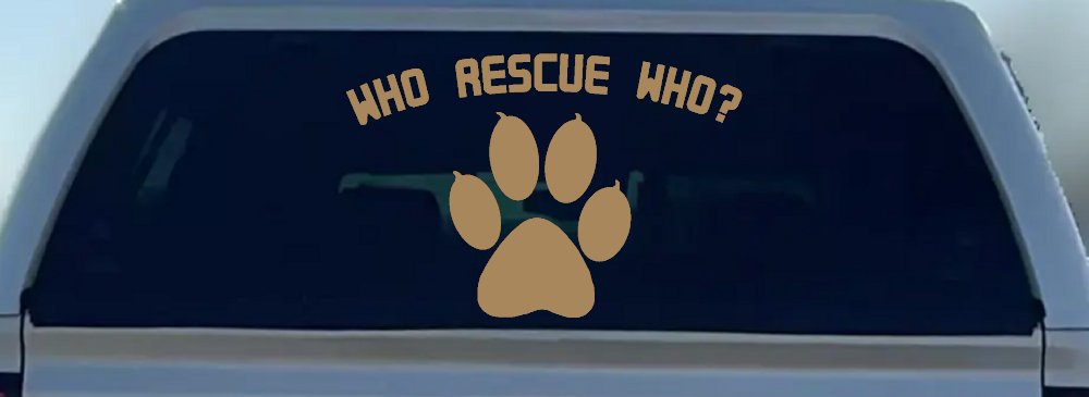 Who Rescue Who Dog or Cat Adoption Car or Truck Window Decal Sticker