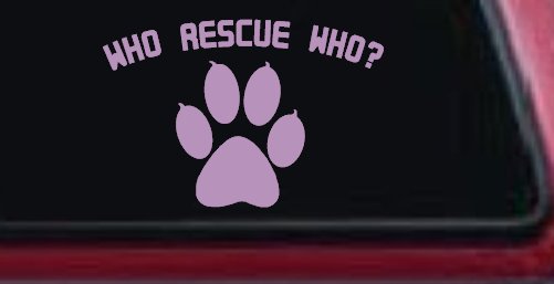 Who Rescue Who Dog or Cat Adoption Car or Truck Window Decal Sticker (Lilac)