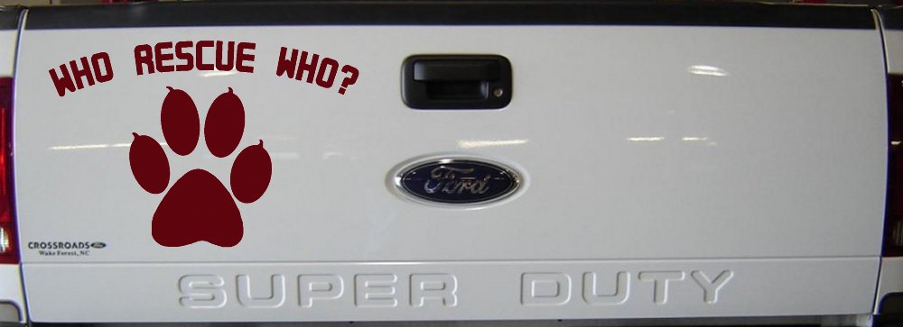 Who Rescue Who Dog or Cat Adoption Car or Truck Window Decal Sticker
