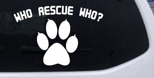 Who Rescue Who Dog or Cat Adoption Car or Truck Window Decal Sticker
