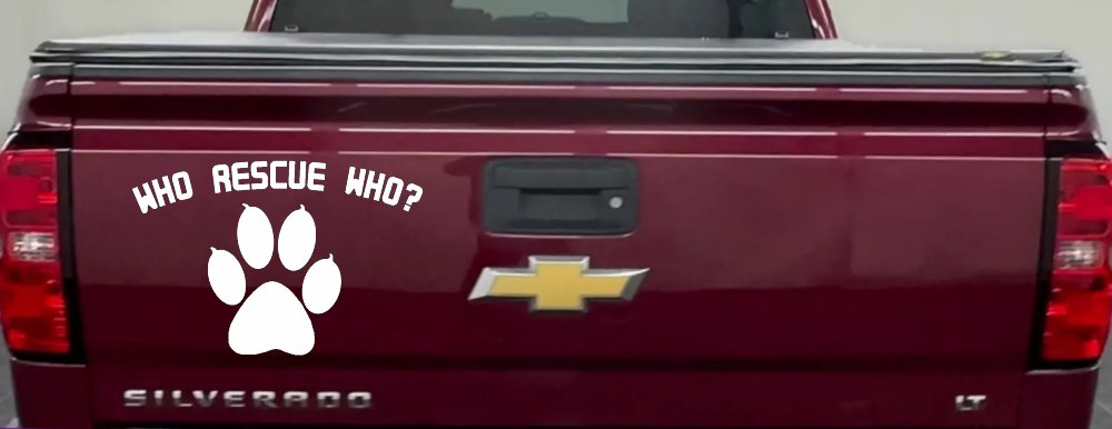 Who Rescue Who Dog or Cat Adoption Car or Truck Window Vinyl Decal Sticker (White)