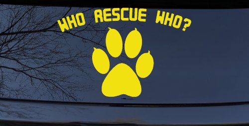 Who Rescue Who Dog or Cat Adoption Car or Truck Window Decal Sticker (Yellow)