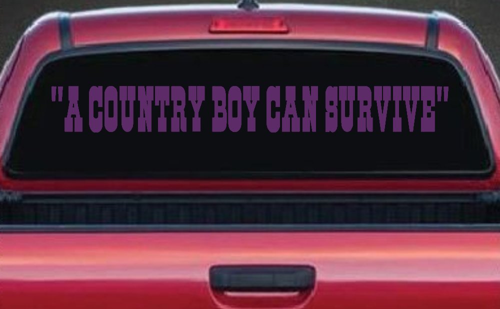 A Country Boy Can Survive Car or Truck Window Vinyl Decal Sticker (Violet)