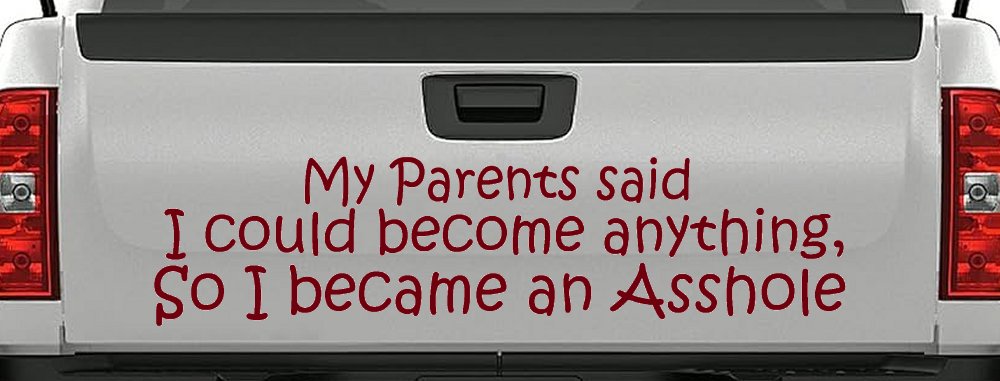 Parents Said I Could Become Anything So I Became an Asshole Funny Car or Truck Window Decal Sticker