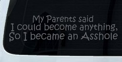 Parents Said I Could Become Anything So I Became an Asshole Funny Car or Truck Window Vinyl Decal Sticker (Silver)