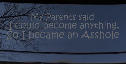 Parents Said I Could Become Anything So I Became an Asshole Funny Car or Truck Window Vinyl Decal Sticker (Silver)