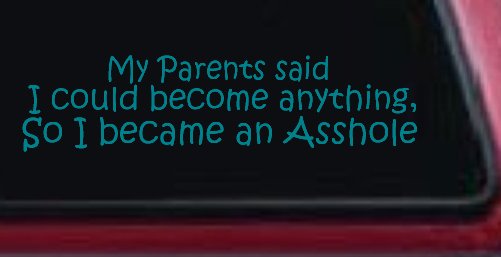 Parents Said I Could Become Anything So I Became an Asshole Funny Car or Truck Window Decal Sticker