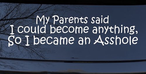 Parents Said I Could Become Anything So I Became an Asshole Funny Car or Truck Window Decal Sticker (White)