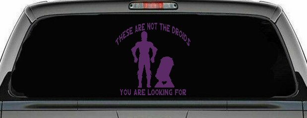 These Are Not The Droids You Are Looking For C3PO R2 D2 Sci Fi Car or Truck Window Vinyl Decal Sticker (Violet)