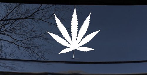 Marijuana Cannabis Leaf Car or Truck Window Decal Sticker
