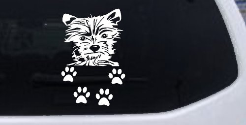 Small Dog With Paw Prints Car or Truck Window Decal Sticker (White)