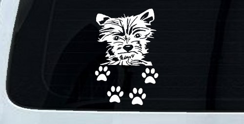 Small Dog With Paw Prints Car or Truck Window Decal Sticker