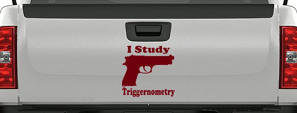I Study Triggernometry 2nd Amendment Gun Guns Car or Truck Window Decal Sticker