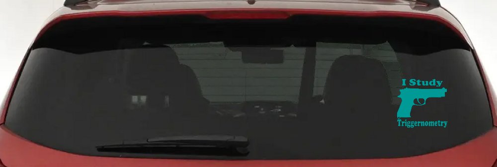 I Study Triggernometry 2nd Amendment Gun Guns Car or Truck Window Decal Sticker