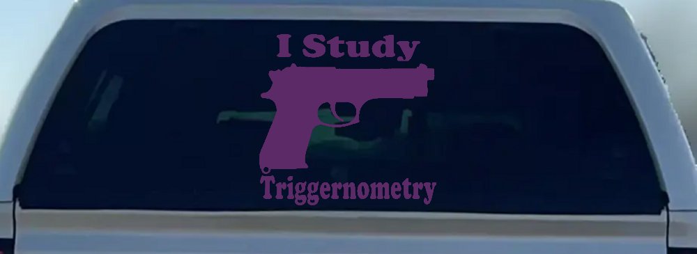 I Study Triggernometry 2nd Amendment Gun Guns Car or Truck Window Decal Sticker (Violet)