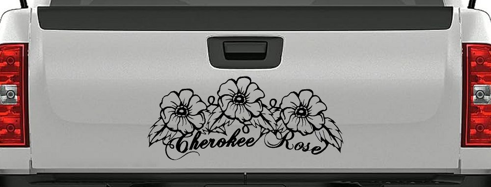 Cherokee Rose Flowers And Vines Car or Truck Window Decal Sticker (Black)
