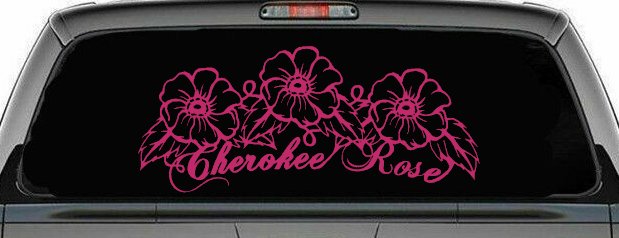 Cherokee Rose Flowers And Vines Car or Truck Window Decal Sticker (Hot Pink)