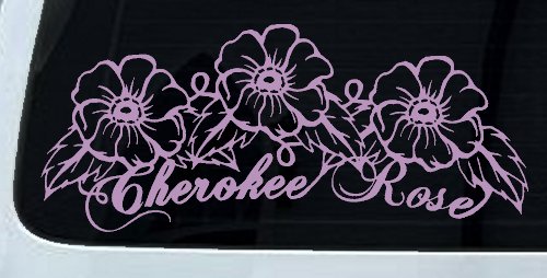 Cherokee Rose Flowers And Vines Car or Truck Window Decal Sticker