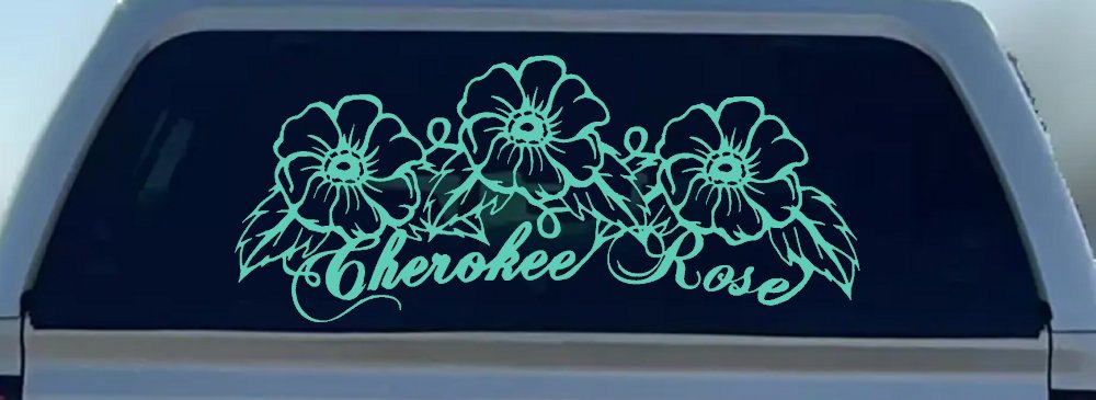 Cherokee Rose Flowers And Vines Car or Truck Window Decal Sticker