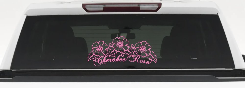 Cherokee Rose Flowers And Vines Car or Truck Window Decal Sticker