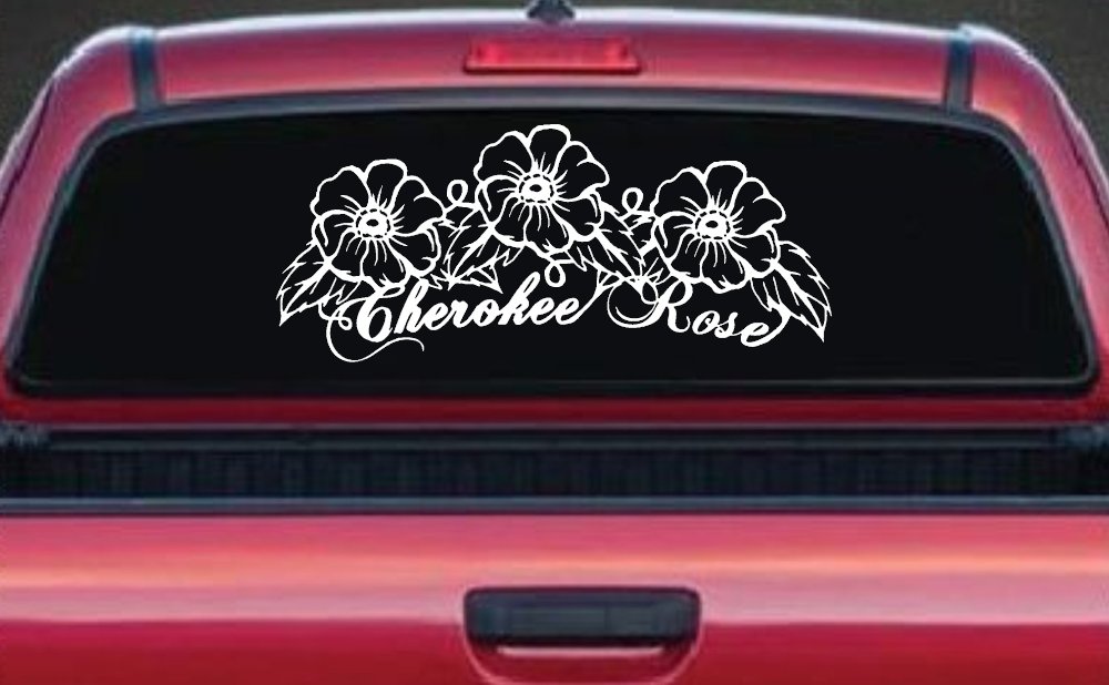 Cherokee Rose Flowers And Vines Car or Truck Window Decal Sticker
