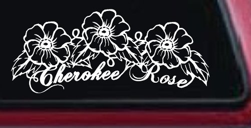 Cherokee Rose Flowers And Vines Car or Truck Window Vinyl Decal Sticker (White)