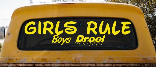 Girls Rule Boys Drool Funny Car or Truck Window Decal Sticker