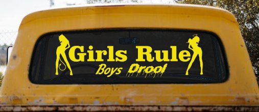 Girls Rule Boys Drool Good and Bad Girls Car or Truck Window Decal Sticker