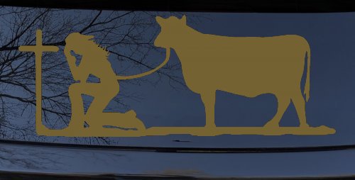 Cowgirl Kneeling At The Cross With Cow Christian Car or Truck Window Decal Sticker (Gold)